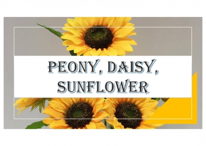 Peony, Daisy, Sunflower